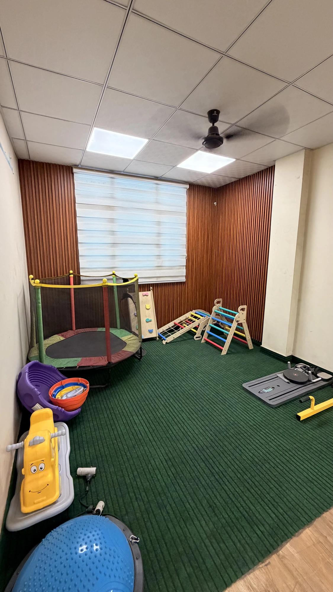 Pediatric physiotherapy play area at Physio Hyve Clinic with trampoline, climbing frames and ride-on toys